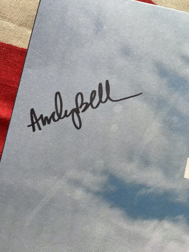 Andy Bell - The View From Halfway Down - Image 3