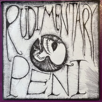 Rudimentary Peni - Rudimentary Peni