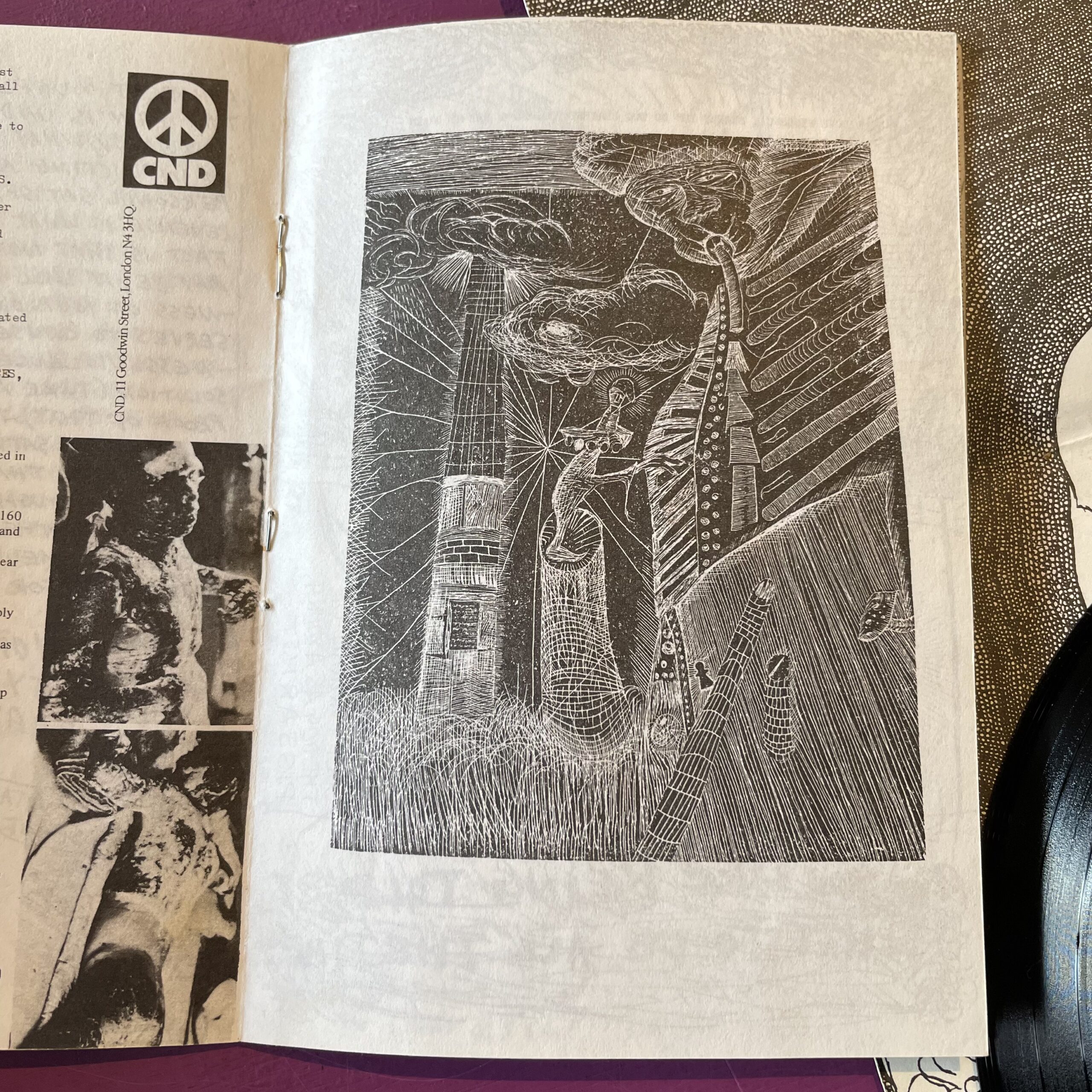 Rudimentary Peni - Rudimentary Peni - Image 6