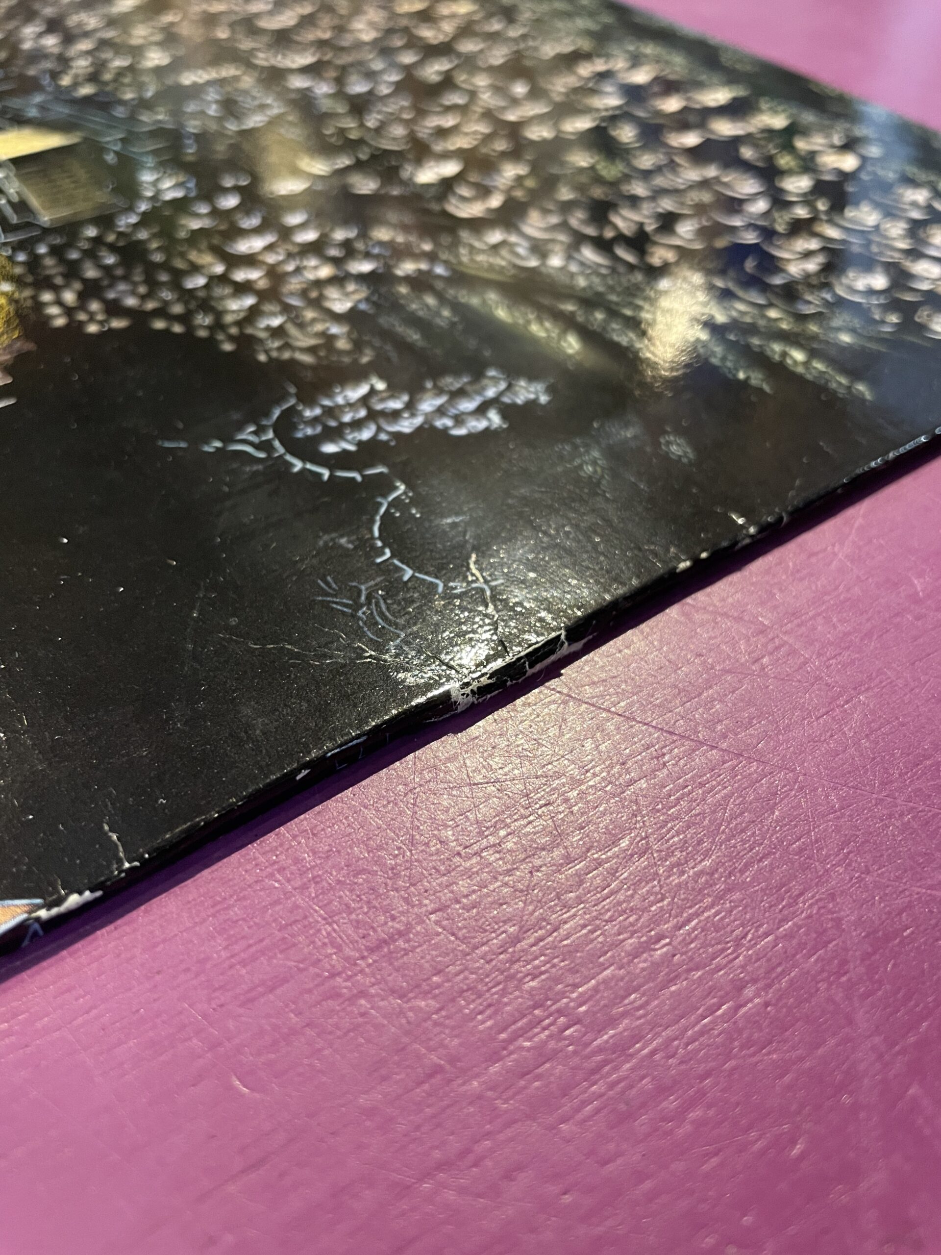 Sacred Reich - Independant - Image 8